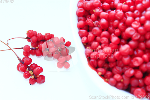 Image of full plate of red ripe schisandra isolated