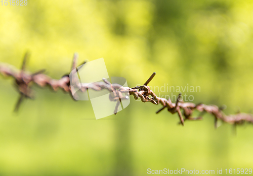 Image of rusty barbwire detail