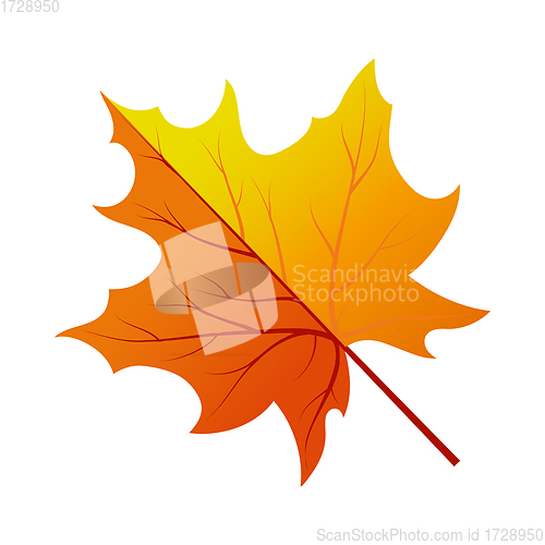 Image of Autumn Tree Leaf