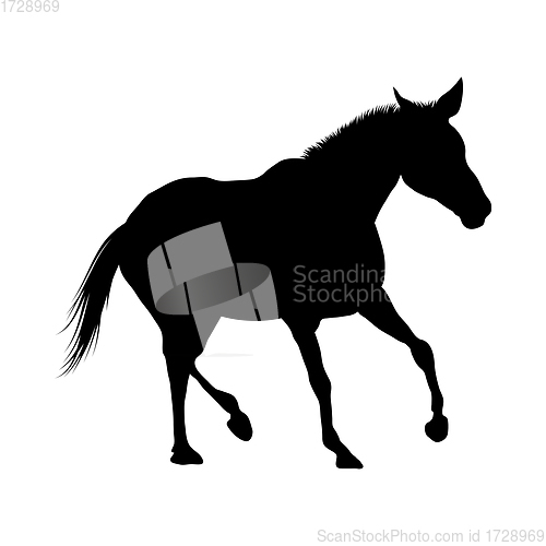 Image of Horse Silhouette