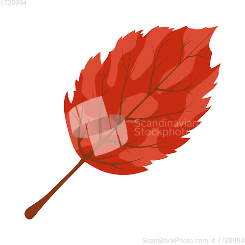 Image of Autumn Birch Leaf