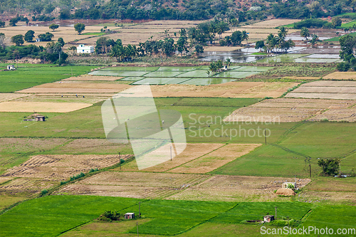 Image of Aeiral view of Indian countryside with rice paddies, Tamil Nadu,