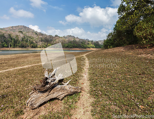 Image of Periyar wildlife sanctuary, India