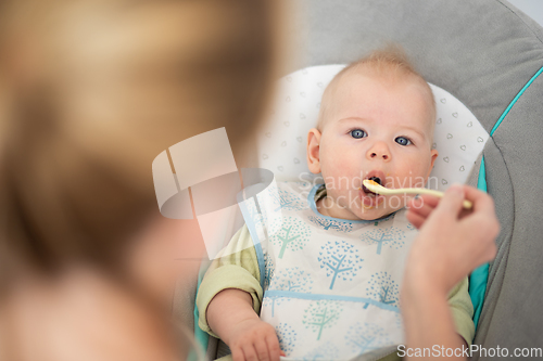 Image of Mother spoon feeding her baby boy infant child in baby chair with fruit puree. Baby solid food introduction concept.