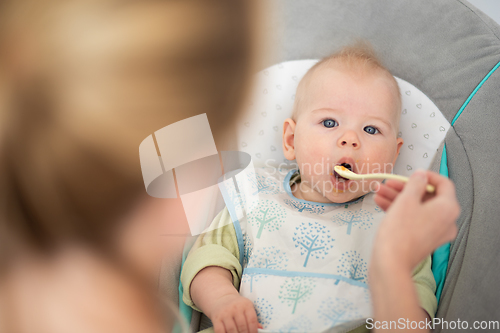 Image of Mother spoon feeding her baby boy infant child in baby chair with fruit puree. Baby solid food introduction concept.