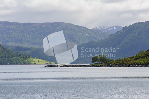 Image of islets with trees and land by the barn