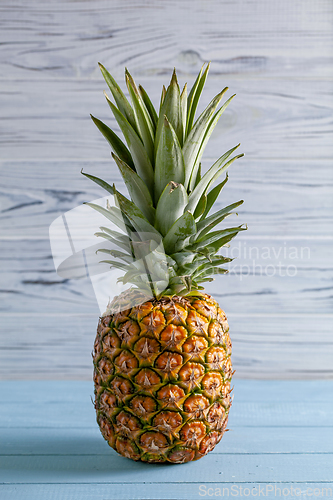 Image of Ripe pineapple on blue background