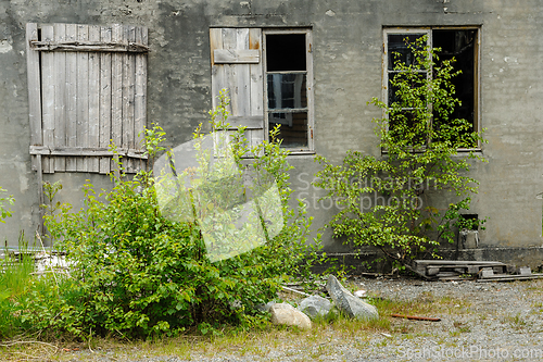 Image of old ruined window in brick wall with green trees