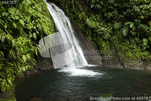 Image of Guadeloupe, French Antilles