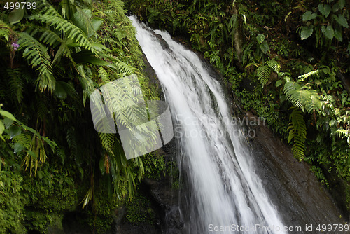 Image of Guadeloupe, French Antilles