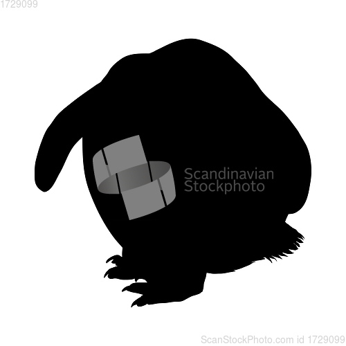 Image of Penguin Silhouette