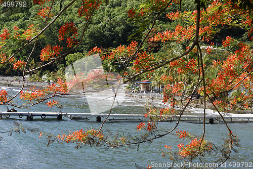 Image of Guadeloupe, French Antilles