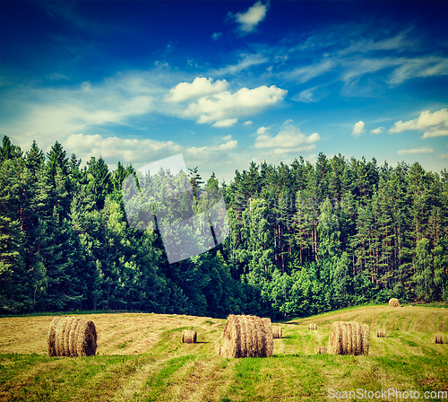 Image of Hay bales on field