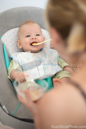 Image of Mother spoon feeding her baby boy infant child in baby chair with fruit puree. Baby solid food introduction concept.