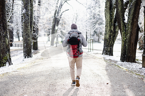 Image of Rear view of sporty father carrying his infant son wearing winter jumpsuit and cap in backpack carrier walking in city park in winter