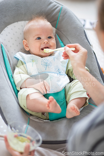 Image of Mother spoon feeding her baby boy infant child in baby chair with fruit puree. Baby solid food introduction concept.