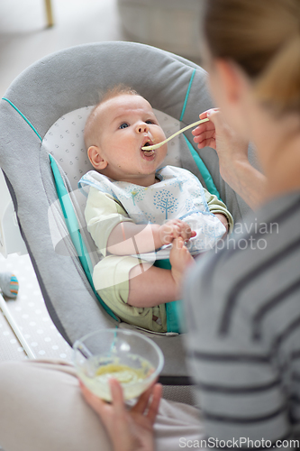 Image of Mother spoon feeding her baby boy infant child in baby chair with fruit puree. Baby solid food introduction concept.