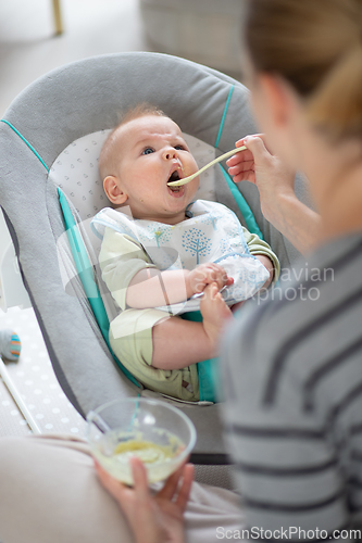 Image of Mother spoon feeding her baby boy infant child in baby chair with fruit puree. Baby solid food introduction concept.