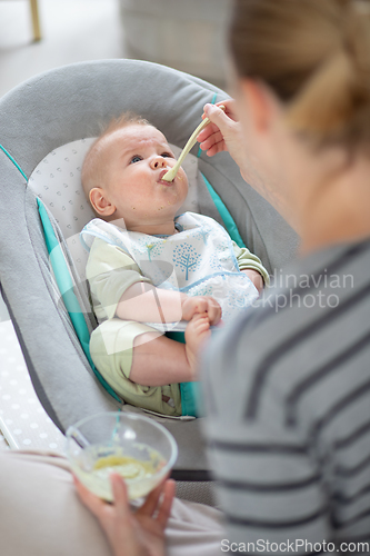 Image of Mother spoon feeding her baby boy infant child in baby chair with fruit puree. Baby solid food introduction concept.