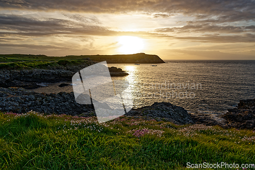 Image of Rocky sea coast with grass and wildflowers at sunset. Very beautiful landscape