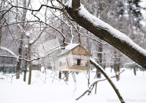 Image of A birdhouse is hanging from a tree