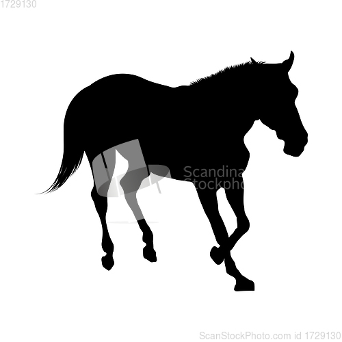 Image of Horse Silhouette