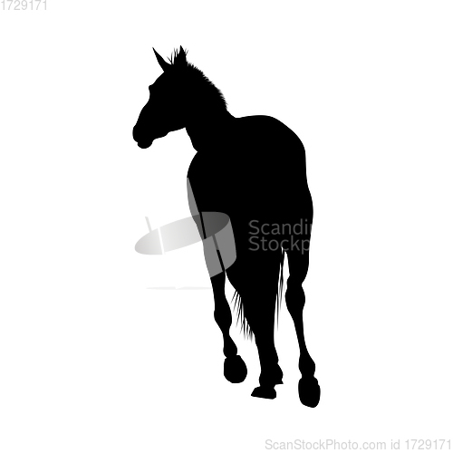 Image of Horse Silhouette