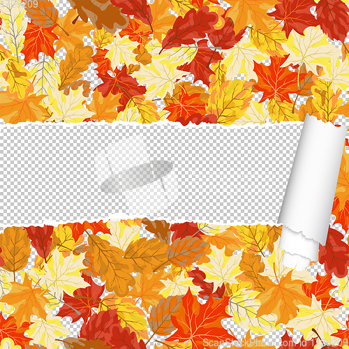 Image of Autumn maple seamless pattern with ripped stripe