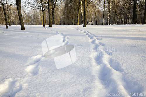 Image of winter walking road