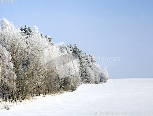 Image of landscape in the winter time