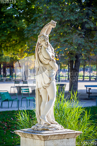 Image of Venus callipyge statue in Tuileries Garden, Paris