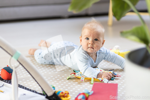 Image of Cute baby boy playing with hanging toys arch on mat at home Baby activity and play center for early infant development. Baby playing at home