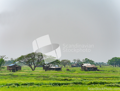 Image of Homes at the Irrawaddy Delta in Myanmar