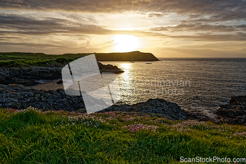 Image of Rocky sea coast with grass and wildflowers at sunset. Very beautiful landscape