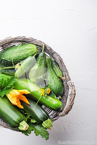 Image of Vegetable crops