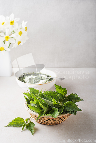 Image of Nettle leaf