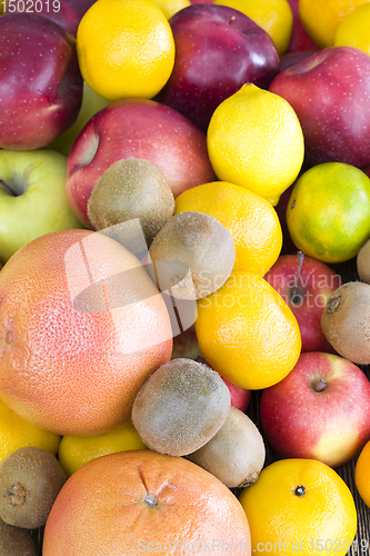 Image of large group of winter citrus