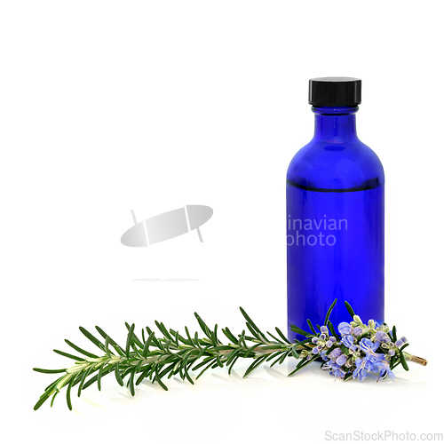 Image of Rosemary Herb Food Seasoning and Plant Medicine