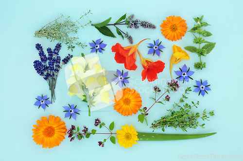 Image of Summer Herbs and Flowers for Natural Aromatherapy Skincare 