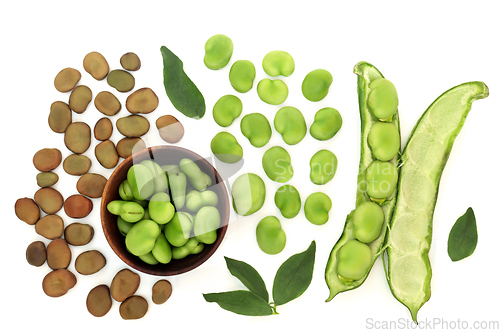 Image of Broad Bean Legumes High Protein Vegan Health Food