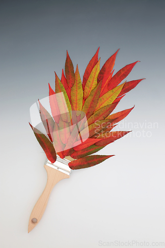 Image of Autumn Leaves Vivid Red Paint Brush Splash