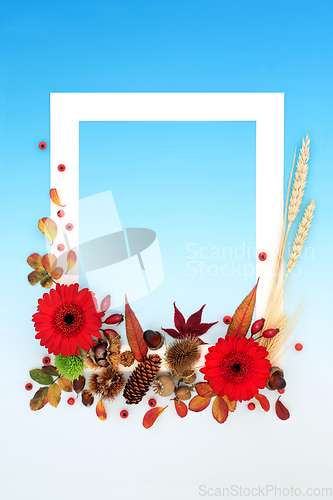 Image of Vivid Autumn and Thanksgiving Background Frame