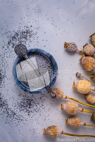 Image of Organic poppy seeds in small bowl with poppy heads