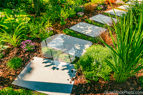 Image of Detail of  garden path with stone slabs with bark mulch and native plants. Landscaping and gardening concept.