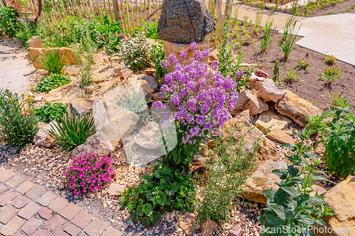 Image of Landscaped natural rock garden with plants, succulents, rocks and stones.