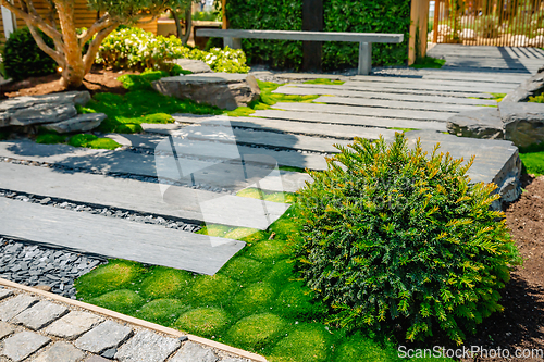 Image of Conifer and slate path with bark mulch and native plants in Japanese garden. Landscaping and gardening concept.