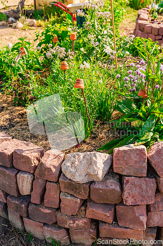 Image of Herb spiral made of bricks for a small garden with sorrel, garlic mustard and chives