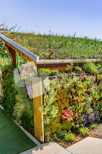 Image of Garden shed with green roofing and vertical garden, green roofing concept