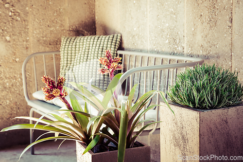 Image of Home plants with cosy sofa and pillow, vintage style