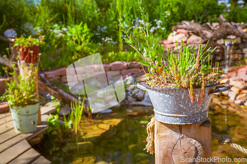 Image of Natural garden with small patio, native plants, natural stones, pond and potted plants 